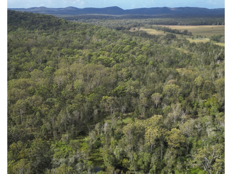 127 Firth Heinz Road, Pillar Valley NSW 2462
