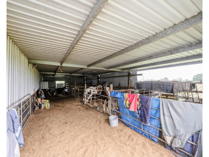 67 Butterfactory Lane, Grafton NSW 2460