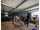 67 Butterfactory Lane, Grafton NSW 2460