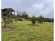 6892 Gwydir Highway, Cangai NSW 2460