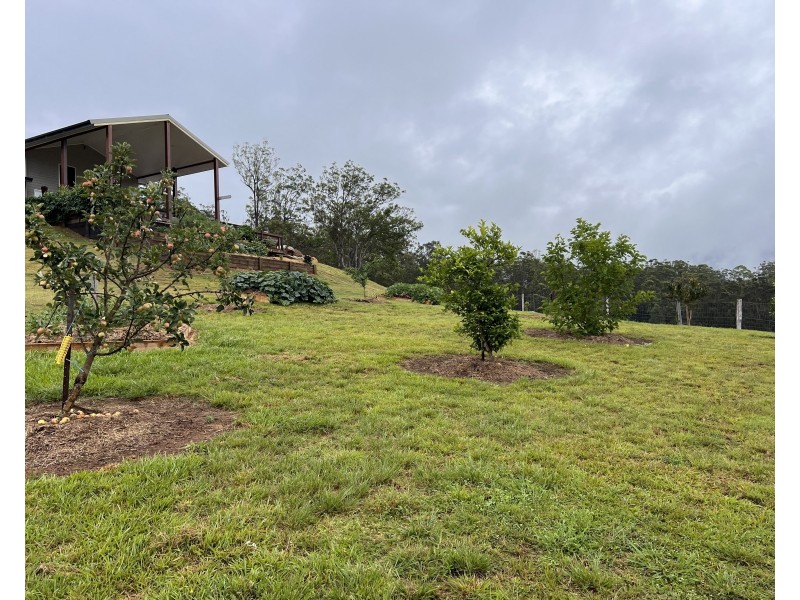 6892 Gwydir Highway, Cangai NSW 2460