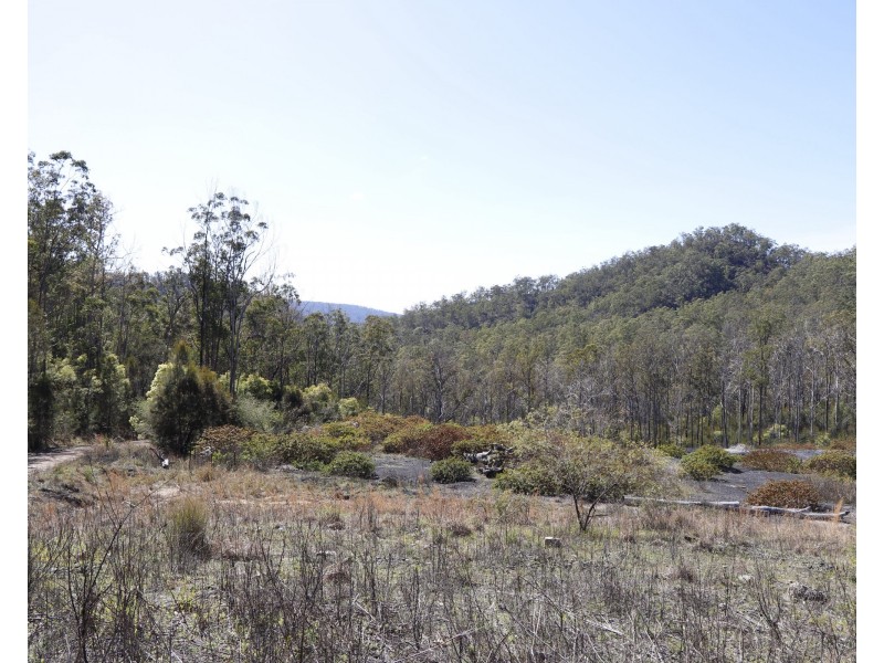 145 Coalmine Road, Nymboida NSW 2460