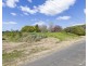 42 River Street, Brushgrove NSW 2460