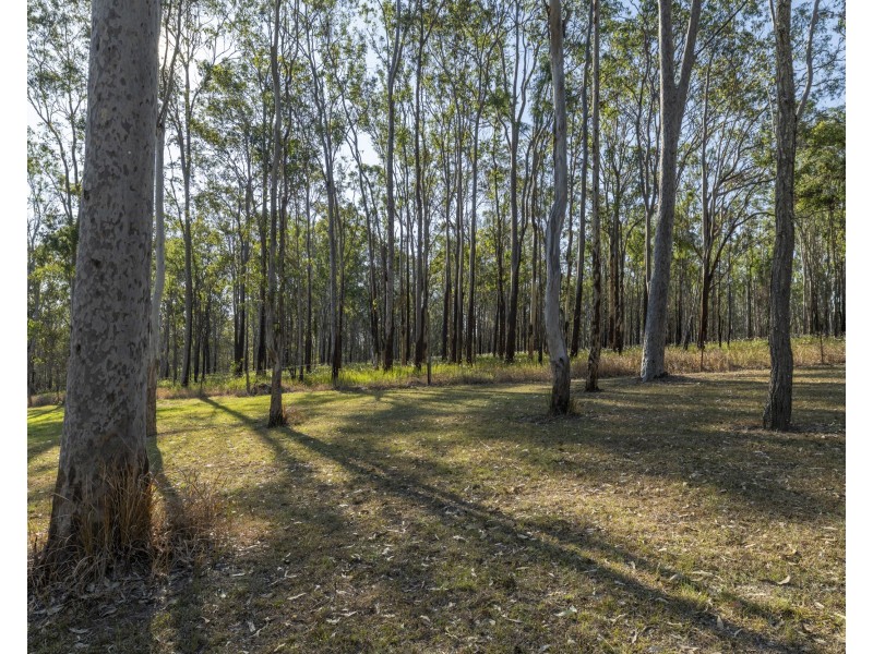 58 Hillview Drive, Waterview Heights NSW 2460