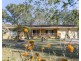 58 Hillview Drive, Waterview Heights NSW 2460