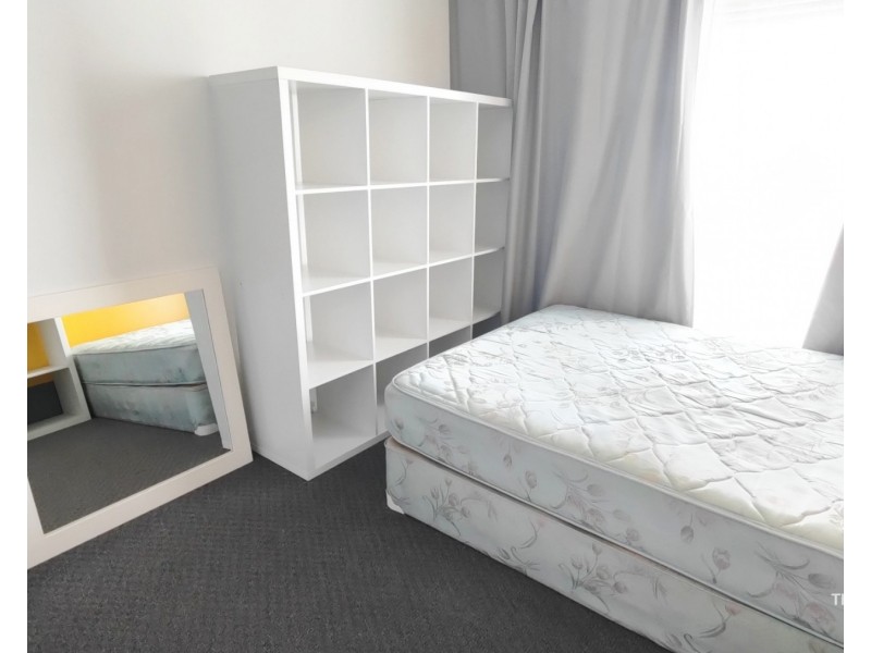 Spring Hill QLD 4000