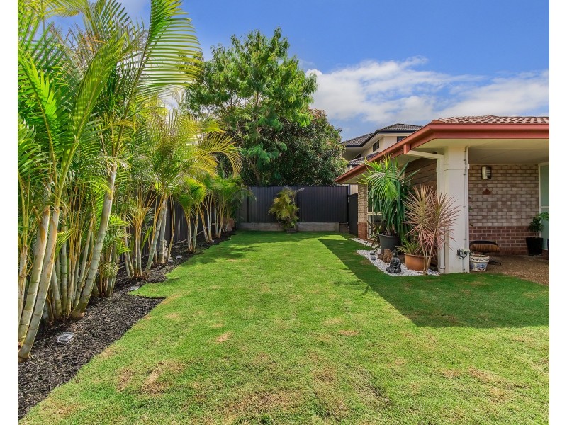 15 Bushgum Crescent, Upper Coomera QLD 4209