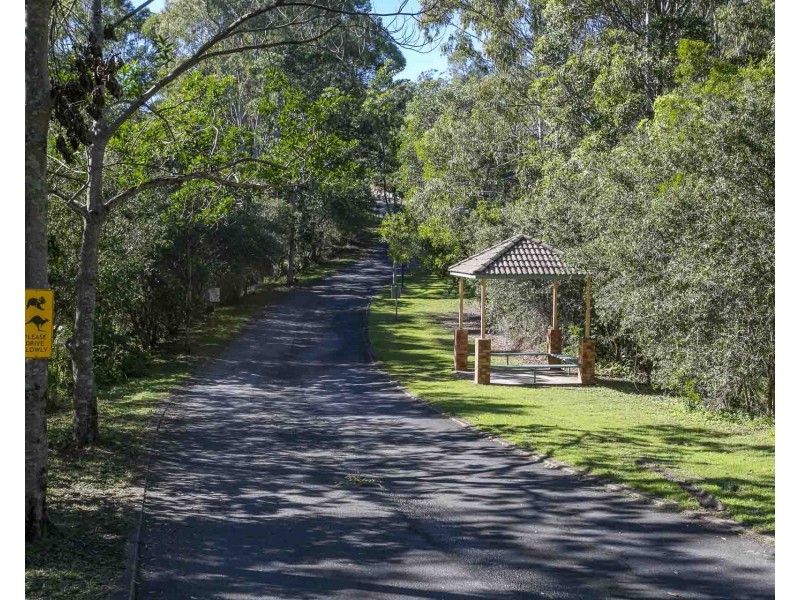 ID:21172461/31 Simpsons Road, Elanora QLD 4221