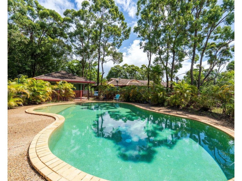 ID:21172461/31 Simpsons Road, Elanora QLD 4221