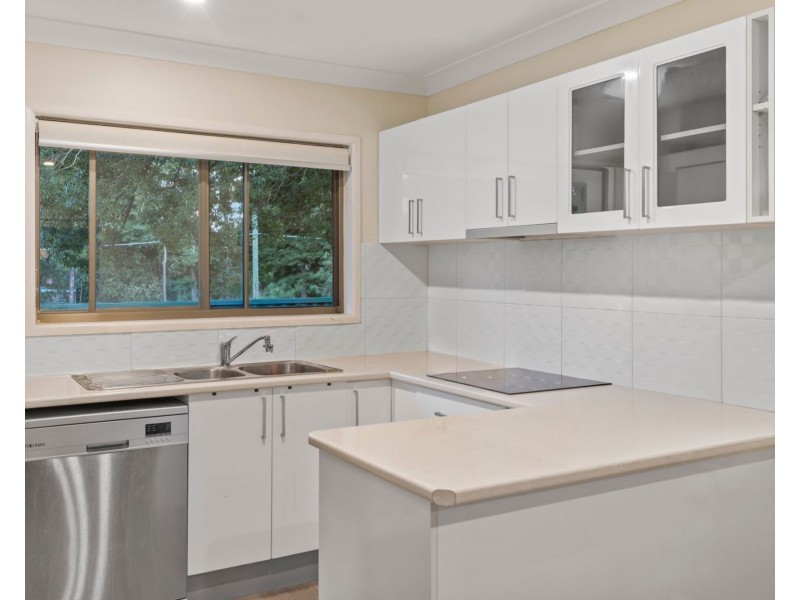 48 Moyston Street, Carseldine QLD 4034