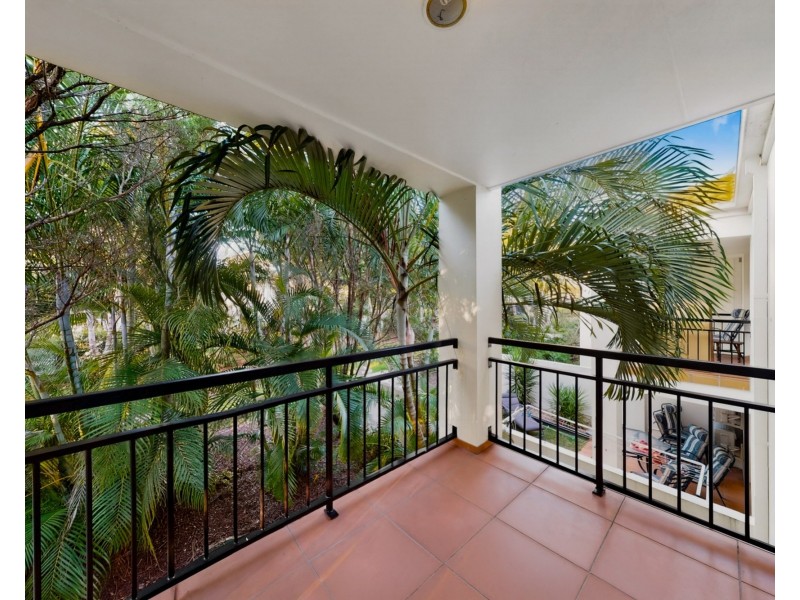 ID:21173554/60 Caseys Road, Hope Island QLD 4212