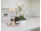 16/2 Admiralty Drive, Surfers Paradise QLD 4217