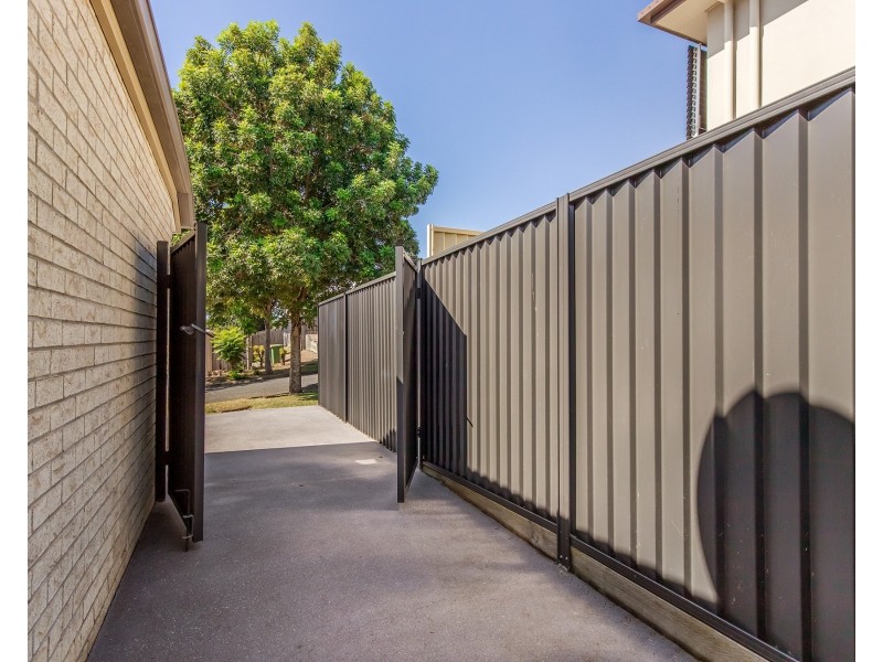 16 Redstart Street, Upper Coomera QLD 4209