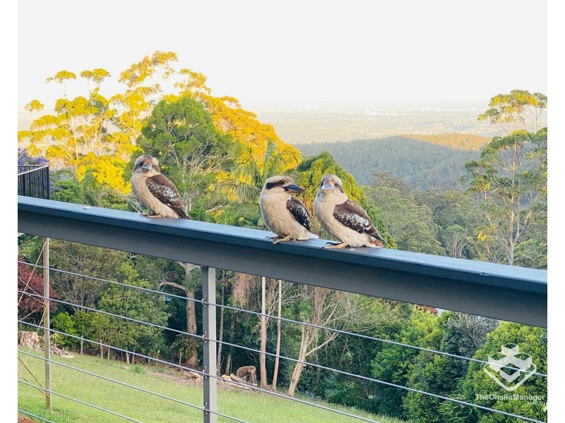 44 Paradise Drive, Tamborine Mountain QLD 4272