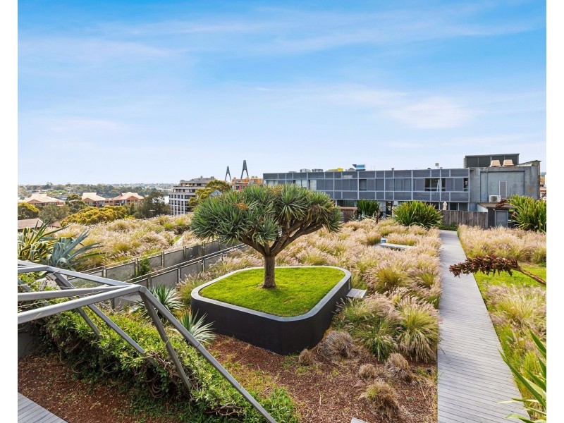 106/320 Harris Street, Pyrmont NSW 2009