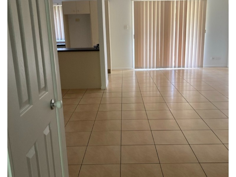 ID:21174839/1 Coelia Court, Carrara QLD 4211