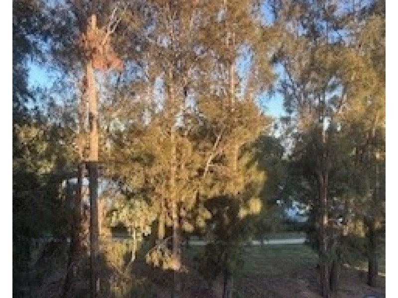 ID:21175499/153-157 Burswood Road, Burswood WA 6100