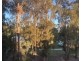 ID:21175519/153-157 Burswood Road, Burswood WA 6100