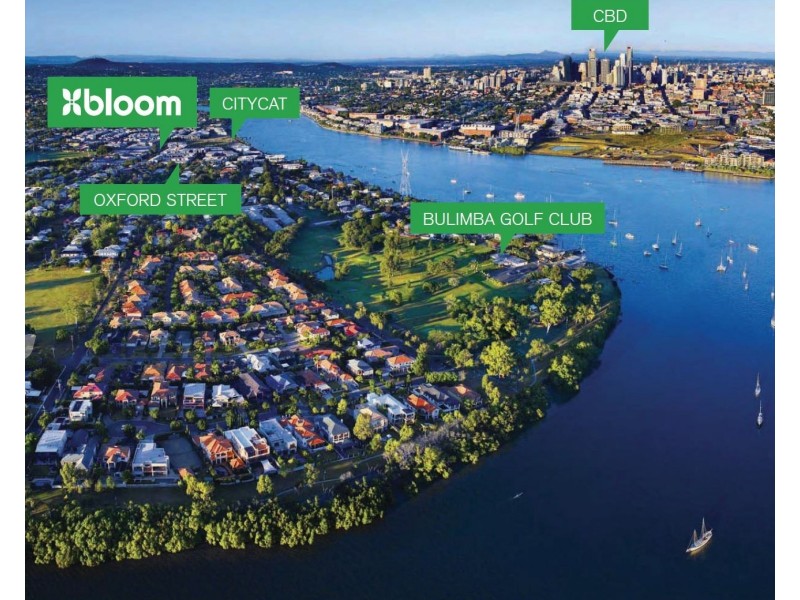 ID:21177088/38 Love Street, Bulimba QLD 4171