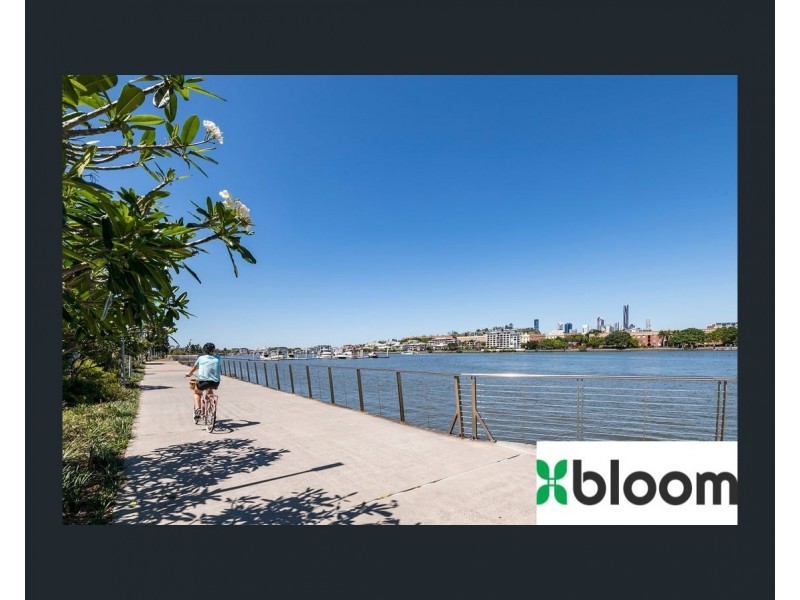 ID:21177088/38 Love Street, Bulimba QLD 4171