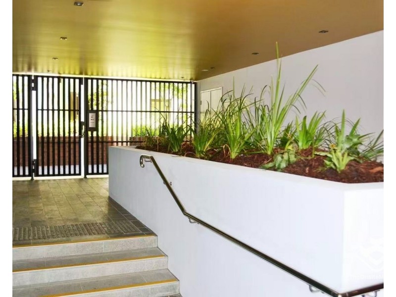 ID:21177193/31 Peter Doherty Street, Dutton Park QLD 4102