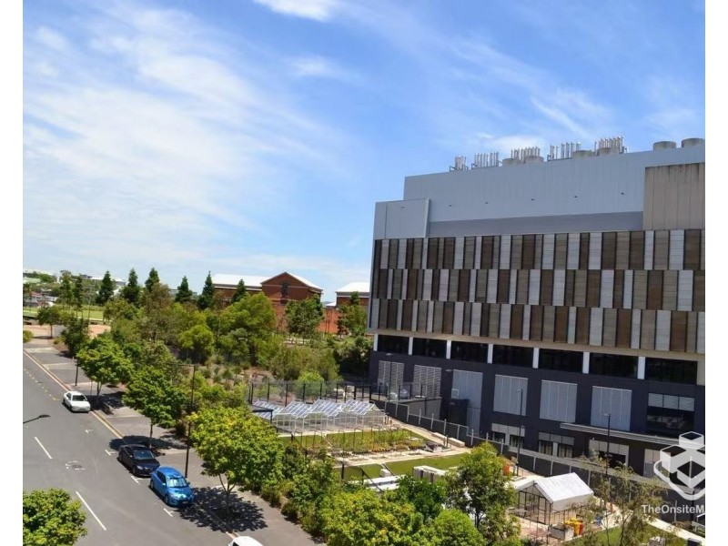 ID:21177193/31 Peter Doherty Street, Dutton Park QLD 4102