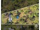 16-18 Tralee Court, South Maclean QLD 4280