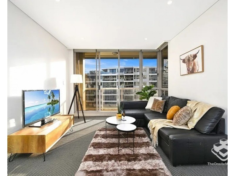 209/11 Potter Street, Waterloo NSW 2017