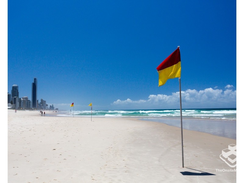 ID:21178254/50 Old Burleigh Road, Surfers Paradise QLD 4217