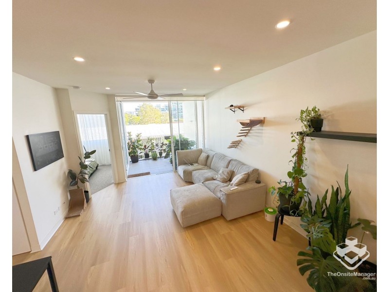 ID:21178349/8 Donkin Street, West End QLD 4101