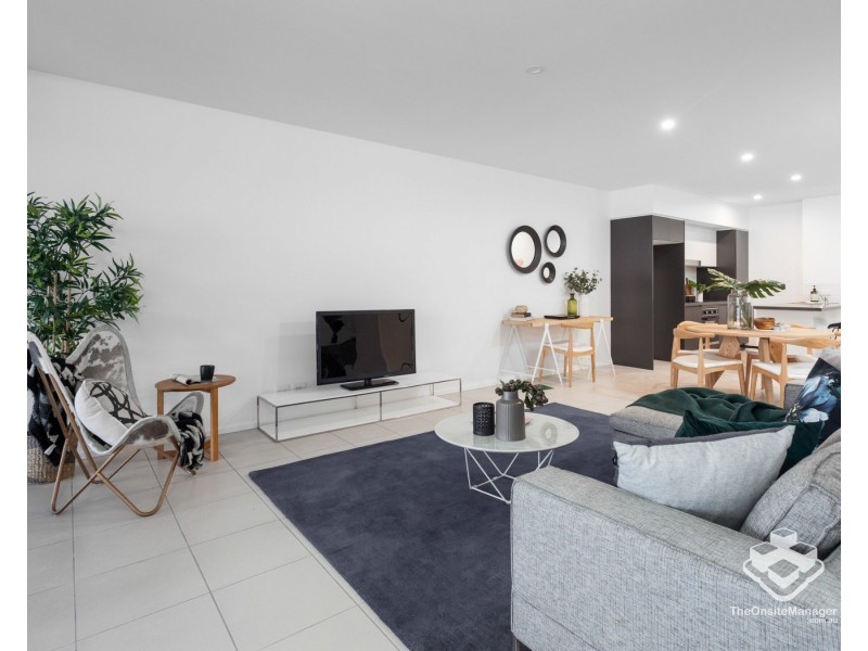 ID:21178389/8 Holden Street, Woolloongabba QLD 4102