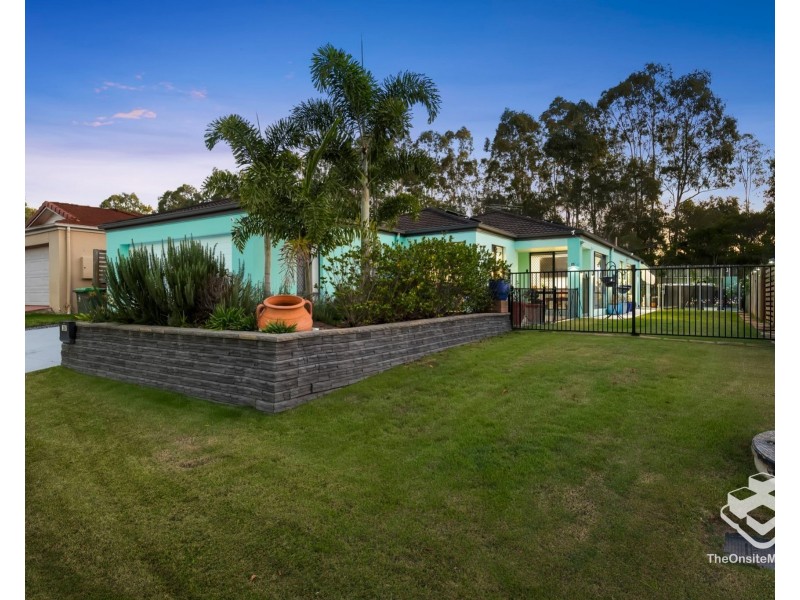 38 Macaranga Crescent, Carseldine QLD 4034
