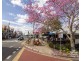 ID:21178784/5 Alexandra Street, Paddington QLD 4064