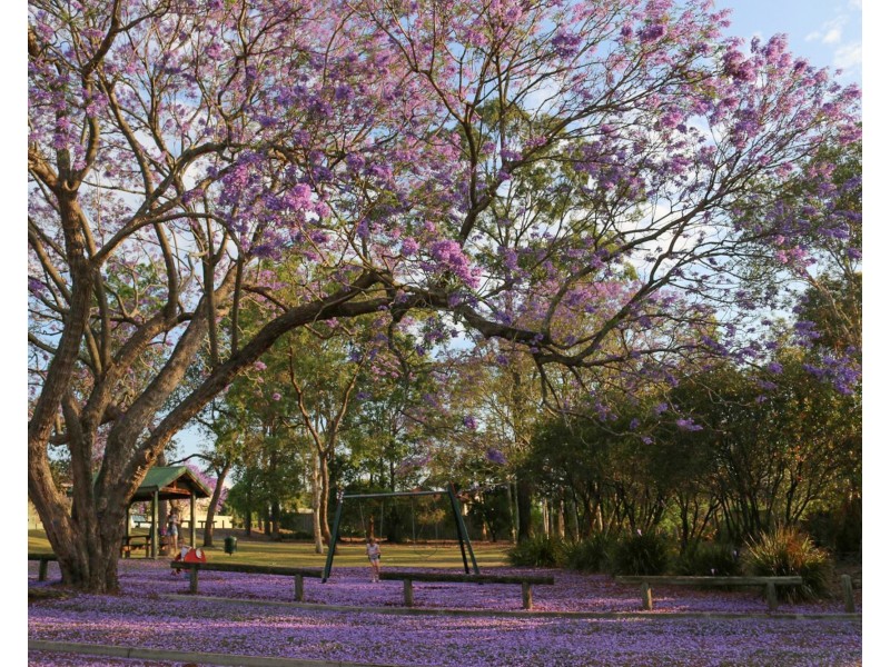 ID:21180229/18 Sunny Court, Sunnybank Hills QLD 4109