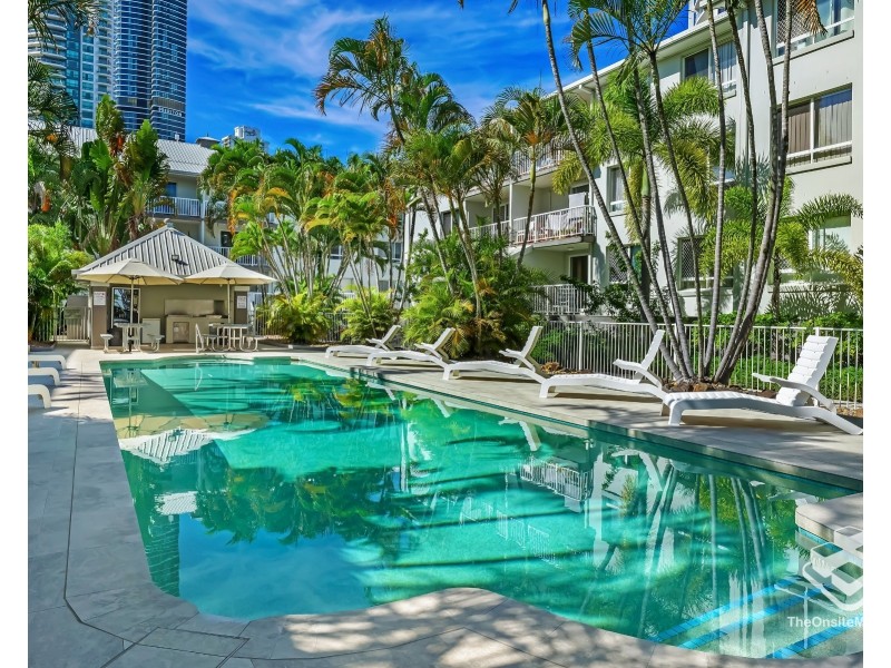 ID:21180909/35 Palm Avenue, Surfers Paradise QLD 4217