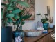 ID:21181019/1 Great Hall Drive, Miami QLD 4220