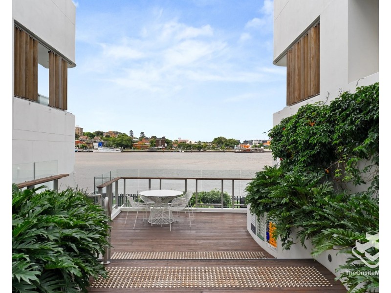ID:21181725/21 Byron Street, Bulimba QLD 4171