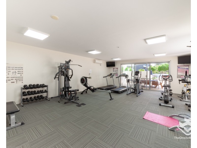 ID:21182007/95 Clarence road, Indooroopilly QLD 4068