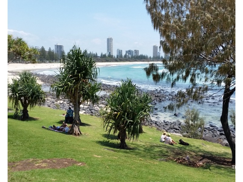 ID:21182077/45 Hayle Street, Burleigh Heads QLD 4220