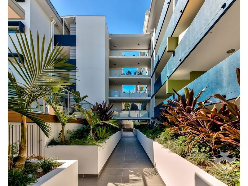 ID:21182137/19 Tank Street, Kelvin Grove QLD 4059