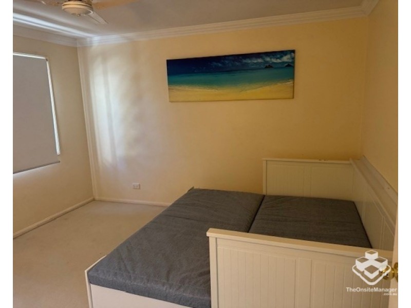 3/50 Durham Street, St Lucia QLD 4067
