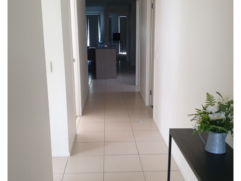 ID:21183213/230 Pulgul Street, Urangan QLD 4655