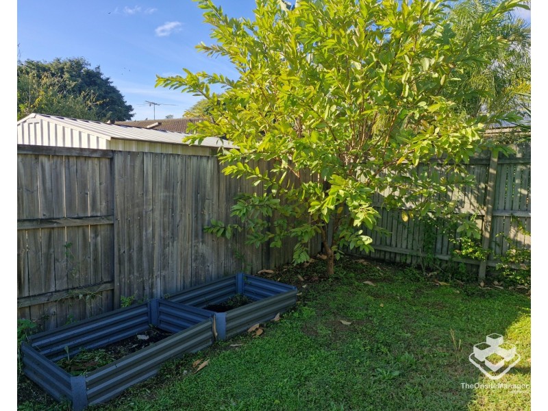 3 Packett Crescent, Loganlea QLD 4131