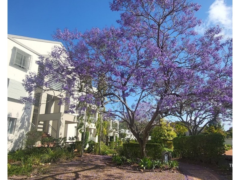 17/76-80 Chichester Drive, Arundel QLD 4214