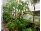 ID:21184109/210-218 Grafton Street, Cairns North QLD 4870