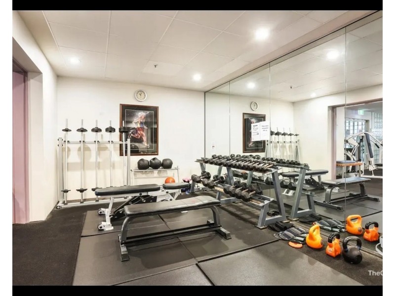 ID:21184214/12 Commodore Drive, Surfers Paradise QLD 4217
