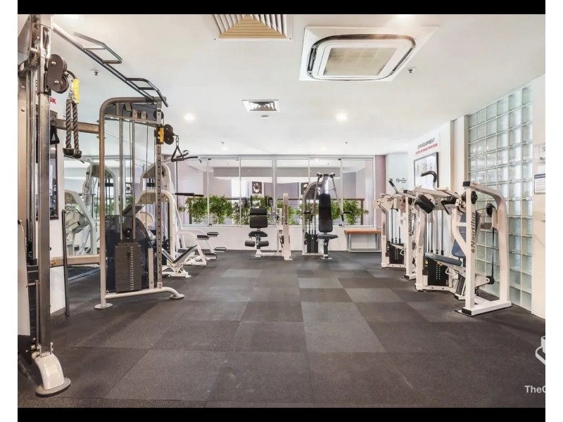 ID:21184219/12 Commodore Drive, Surfers Paradise QLD 4217