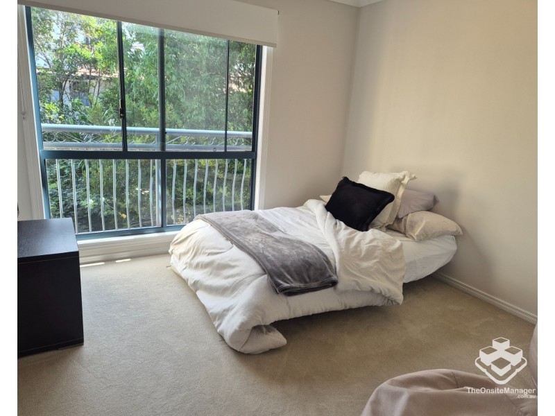 ID:21184784/206 Cheltenham Drive, Robina QLD 4226