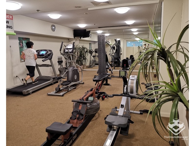 ID:21184924/14 Brown Street, Chatswood NSW 2067