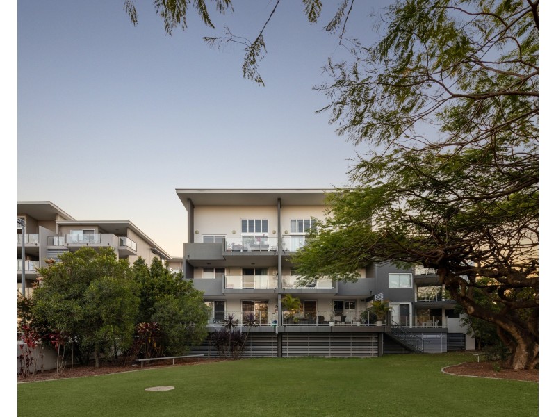 ID:21185200/95 Clarence Road, Indooroopilly QLD 4068